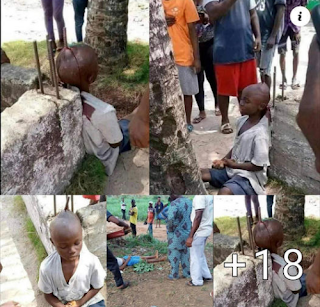 An 11-year-old boy dies with an iron Rod pierced his head after he fell from a coconut tree