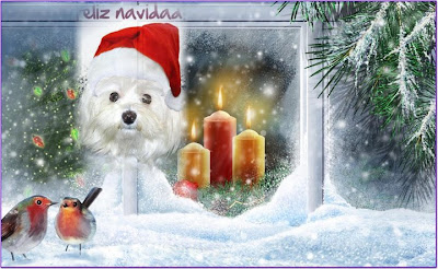 Feliz navidad con un perrito y velas