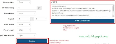 instawidget.net
