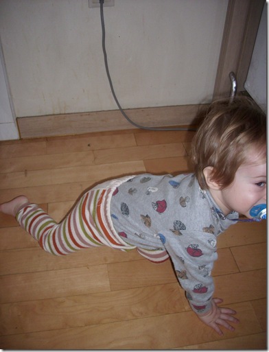 20091226 027