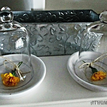 Terra Cotta and Cloche Vignette