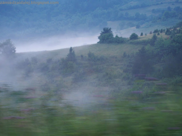 Zamglone góry Zlatibor w Serbii