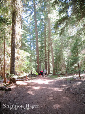 Shannon Hager Photography, Oregon Forest