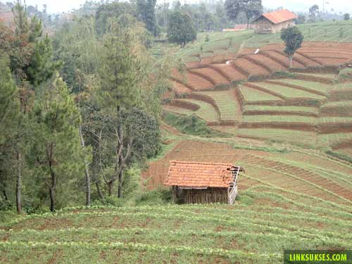 Gunung Tilu Pangalengan