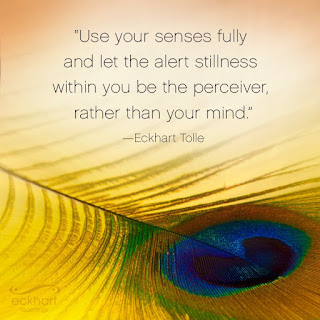 quote-use-your-senses-fully