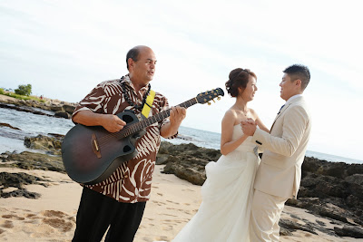 Hawaiian Guitar