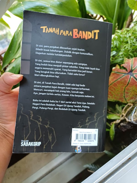 Review Novel Tanah Para Bandit karya Tere Liye, Padma si Vigilante