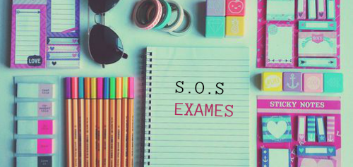 MERMAIDS DON'T DO HOMEWORK | Como Sobreviver Aos Exames?