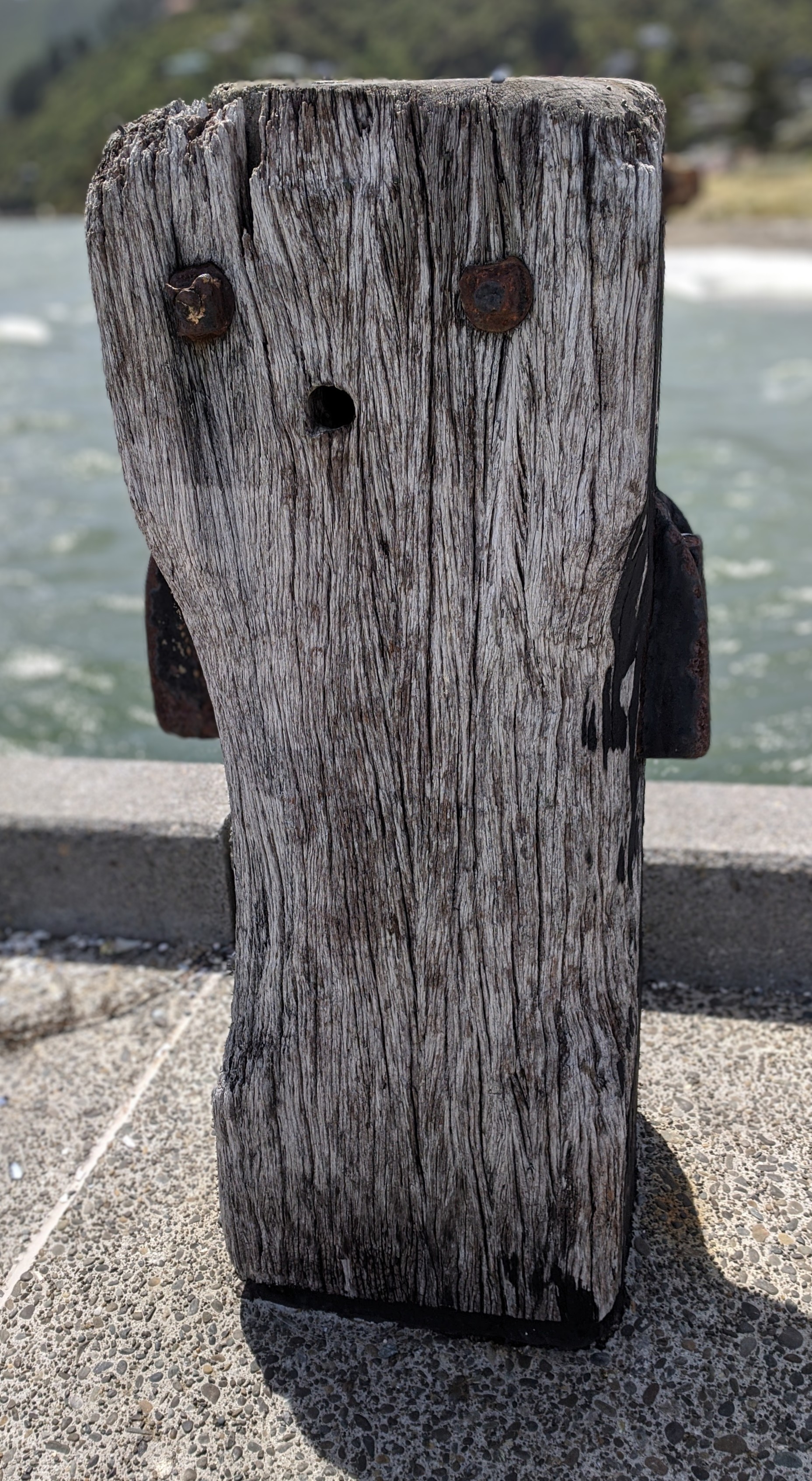 Faces in things: wharf post