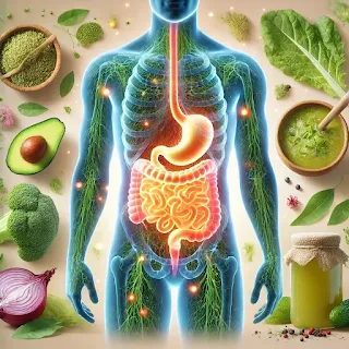 Healthy foods like yogurt, fermented vegetables, and herbal teas displayed together, supporting natural gut repair and digestive health