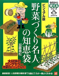 ビジュアル版 野菜づくり名人の知恵袋 (今日から使えるシリーズ(実用))