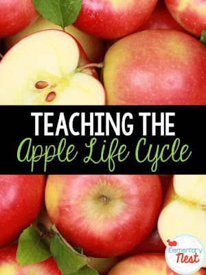 Fall Science- activities to help integrate science into your fall teaching- apple life cycle ideas