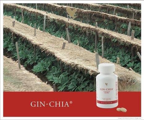 FOREVER GIN CHIA plantas con propiedades adaptógenas