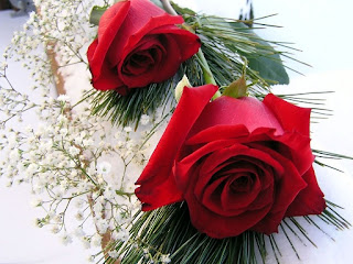 Valentines Day Red Roses Wallpapers