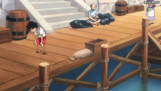 ワンピースアニメ 1029話 | ONE PIECE Episode 1029