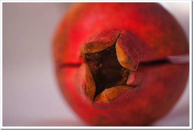 pomegranate-royalty-free-pictures-1 (1701) pomegranate-royalty-free-pictures-1 (1701)