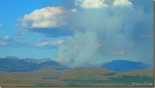 controlled burn_20090902_003