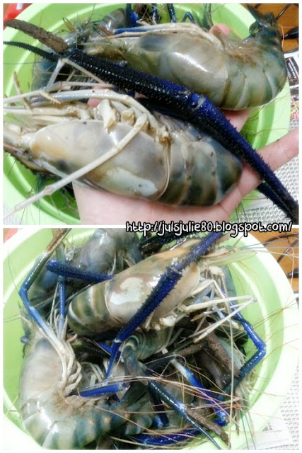 Umai vs Sagu: > UDANG GALAH @ UDANG SEPIT BIRU MASAK LEMAK 