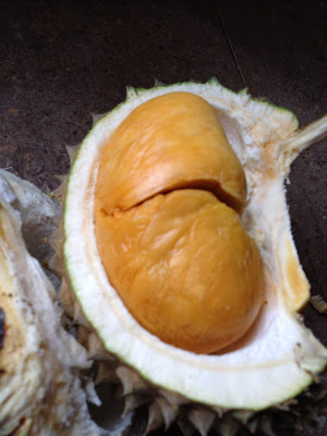 adik nak buah hijau ada duri, buah durian,musang king