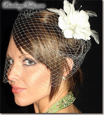 Birdcage Veil Item I 39m loving