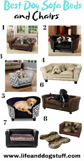 8 Best Dog Sofa Beds and Chairs