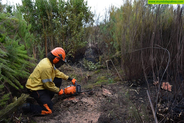 El Cabildo de La Palma adopta medidas preventivas ante la Alerta por Riesgo de Incendios Forestales y Temperaturas Máximas