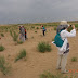 Merubah Padang Pasir Jadi Kebun