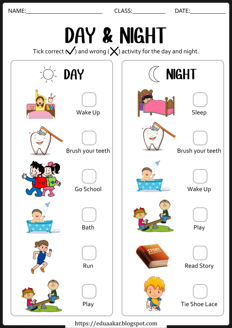 Day and Night Worksheet - True and False