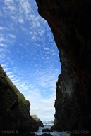 IMG_8100