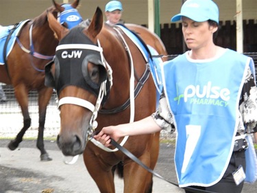 race7_shellscrape (Medium)