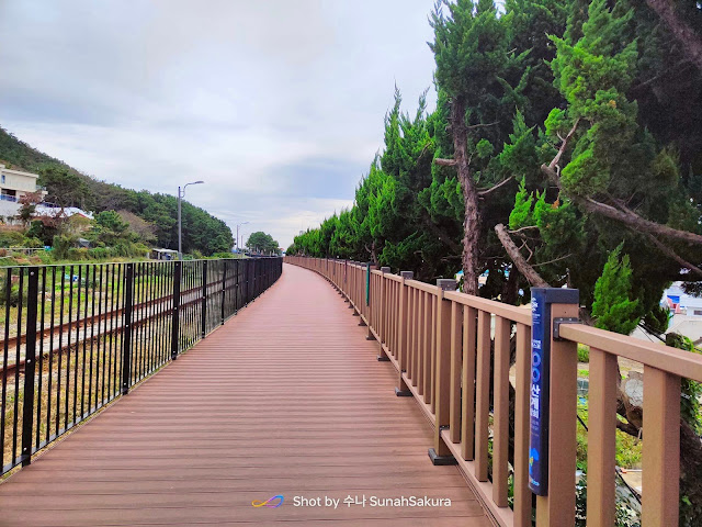 Cheongsapo Daritdol Skywalk dan Haeundae Blueline Park Station