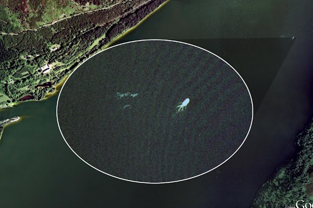 14 Penampakan di Google Earth, Aneh sekaligus Mengerikan