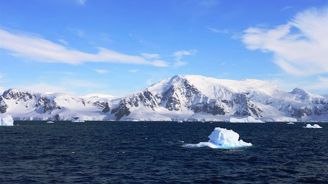 Penguins in Antarctica