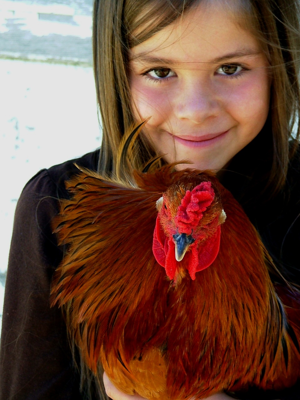 rosy cheeks and feathered feet...