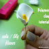 Polymer clay tutorial : Flower Calla /Lily for mother's day