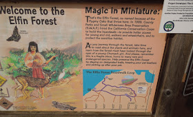 The Elfin Forest in Los Osos, California: A Review in Photos