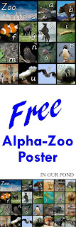 FREE Alpha-Zoo Poster with Real Animals