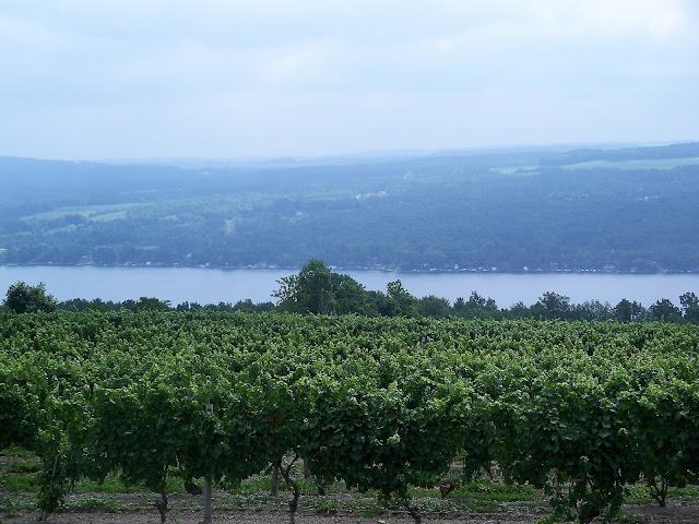 Keuka Lake wineries Finger Lakes