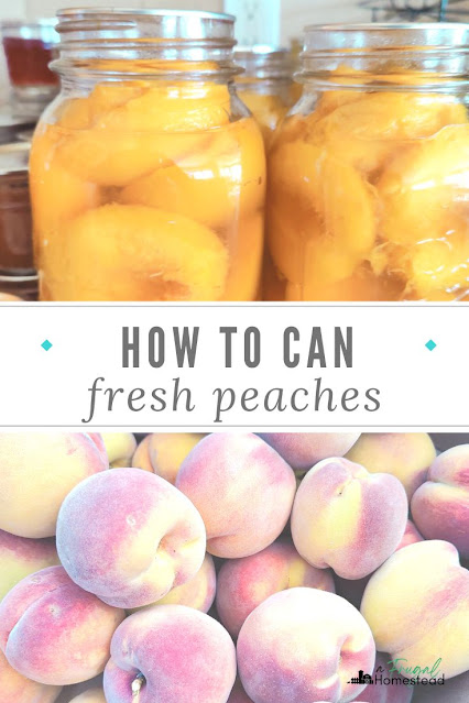 By following these secrets, you'll learn how to can peaches perfectly every time.