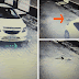 Homem passa com o carro por cima de cão, em Ilhéus