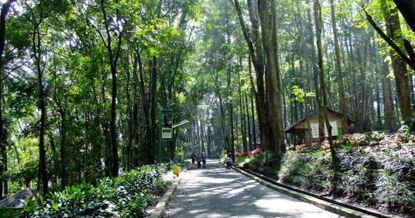 10 Rekomendasi Tempat  Wisata  di Tangerang  Selatan  Terbaru 2020