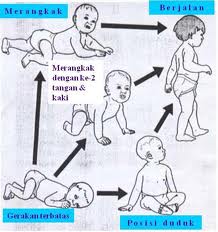 Aspek Aspek Perkembangan Anak