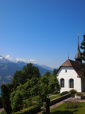 P7053954