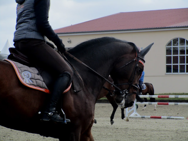 Horses and Dreams 2016 Deutschland