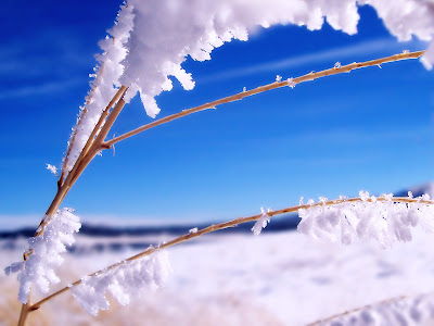 Beautiful Snow HD Wallpaper.