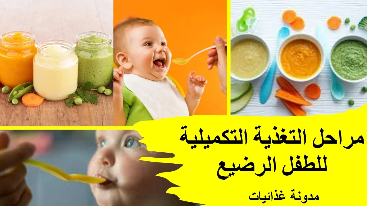 مراحل التغذية التكميلية للطفل الرضيع