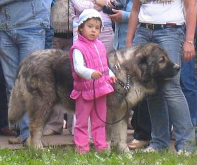 animals and children