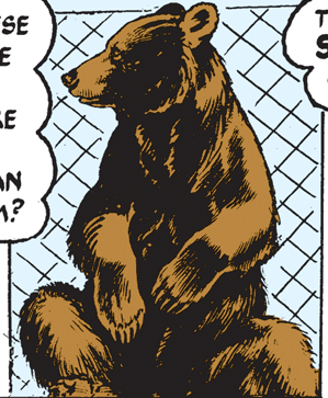 bear