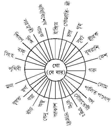 গো শব্দের বহু অর্থবাচকতা।।  শ্রী শুভাশিস চিরকল্যাণ পাত্র।