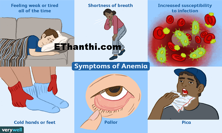 அனீமியா என்றால் என்ன?